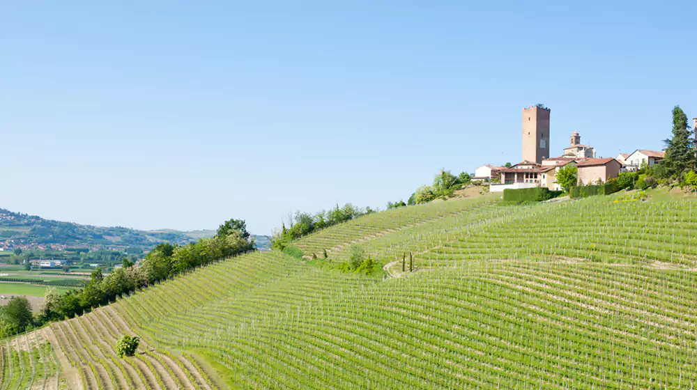 Why Choose a Party Bus from San Francisco to Napa Valley?