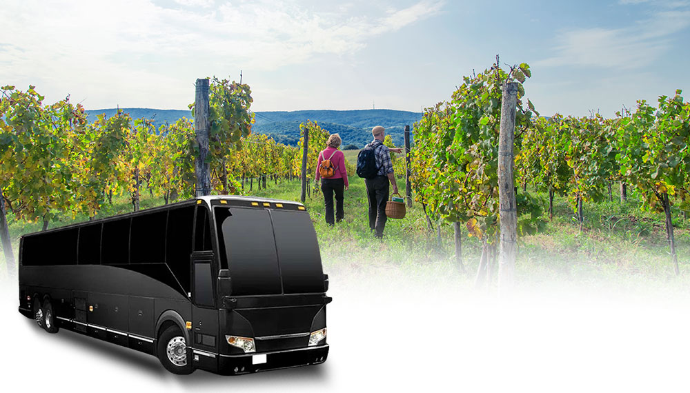 Wine Tour Party Bus Rental