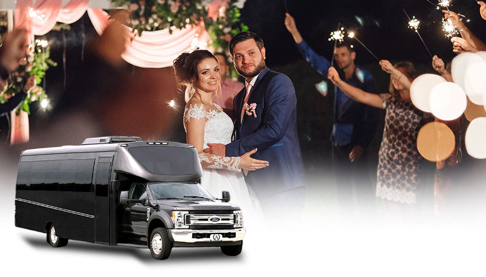 Wedding Party Bus Rental