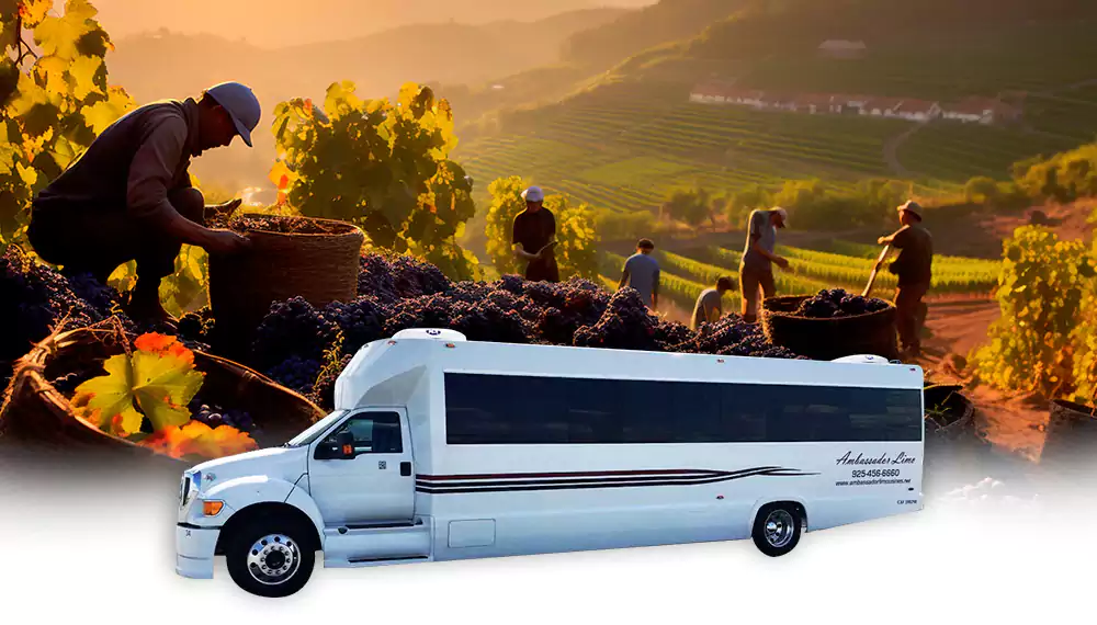 Wine Tour Party Bus Rental in San Ramon