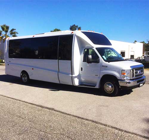 18 seater party bus