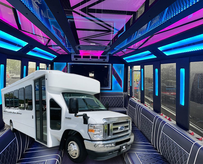 Why Should You Rent a 20-Passenger Party Bus?