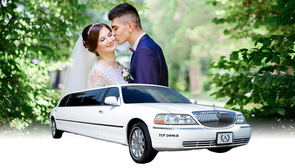 Stanford Wedding Limo Rental