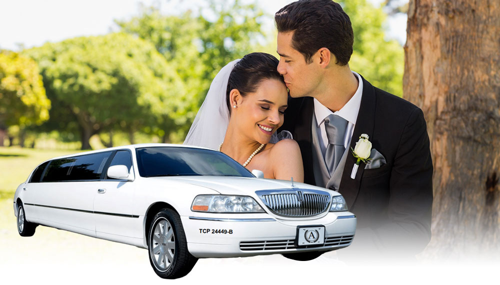 Wedding Limousines in Albany