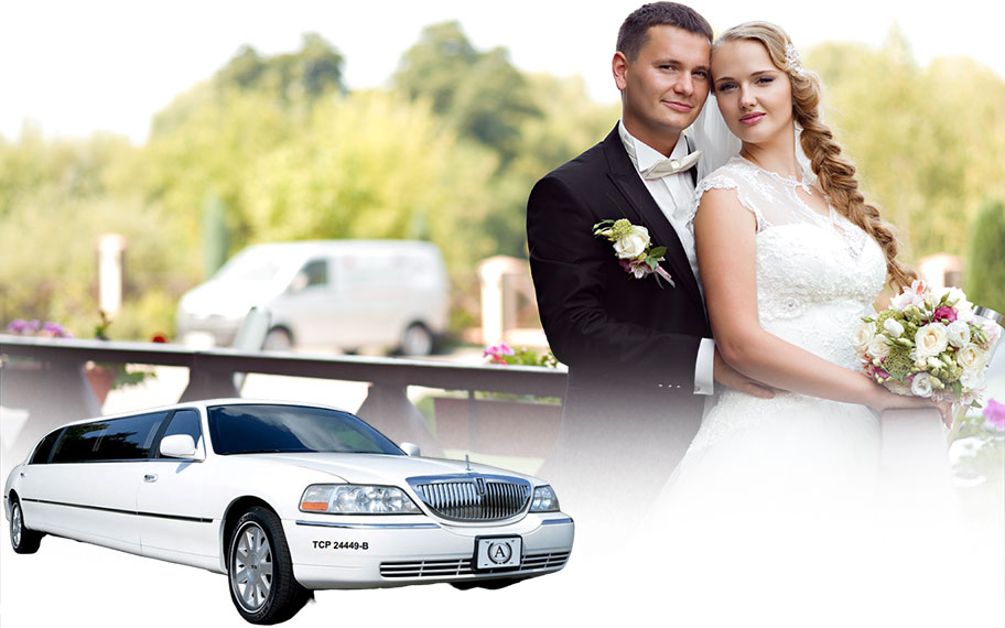 Weddings & Special Events Transfer