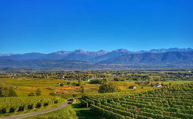 Sonoma Valley – Relaxed, Authentic & Diverse