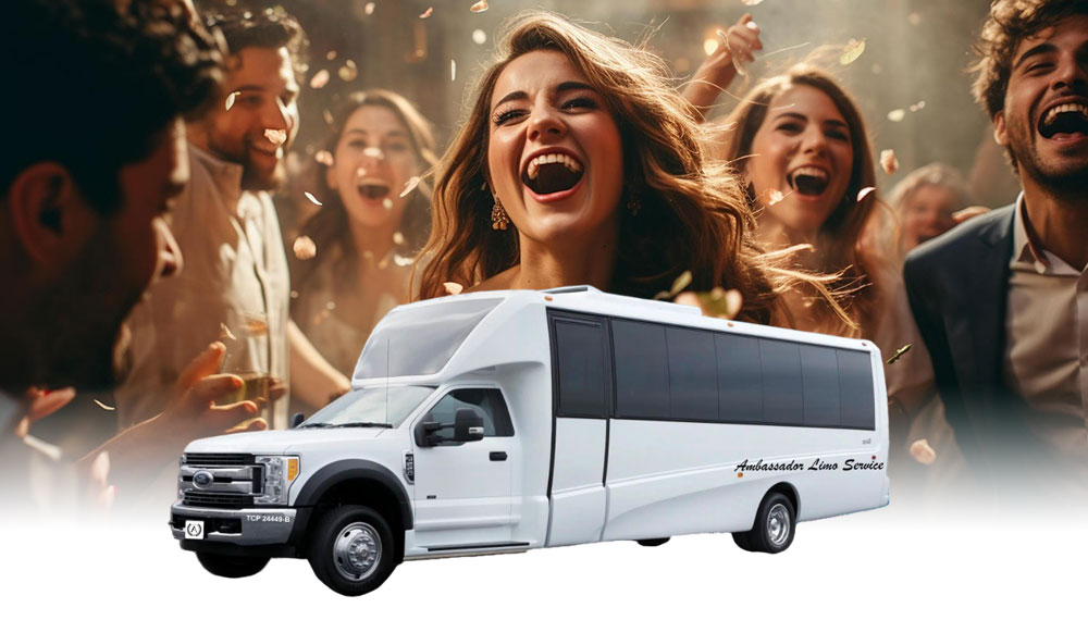 Birthday Party Bus Rental in Dublin