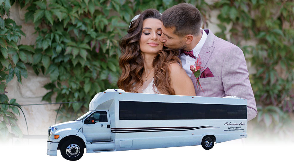 Wedding Party Bus Rental in Dublin