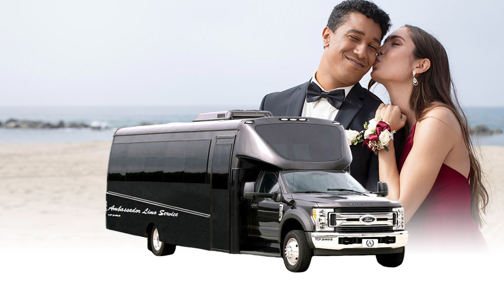 >Lodi Wedding Guest Shuttle Rental