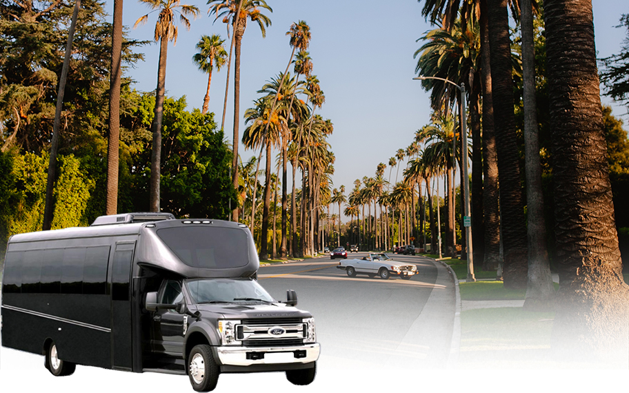 Nearby Areas We Serve