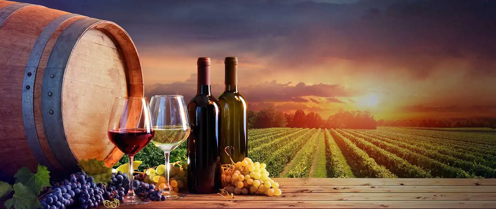 Hire Wine Tour Party Bus Rental